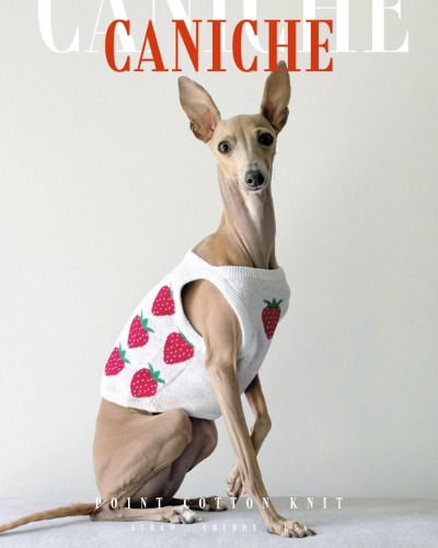 CANICHE Accent Tank Cotton Knit (3 Types, S-3XL)