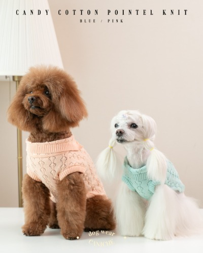 CANICHE Candy Cotton Pointelle Knit