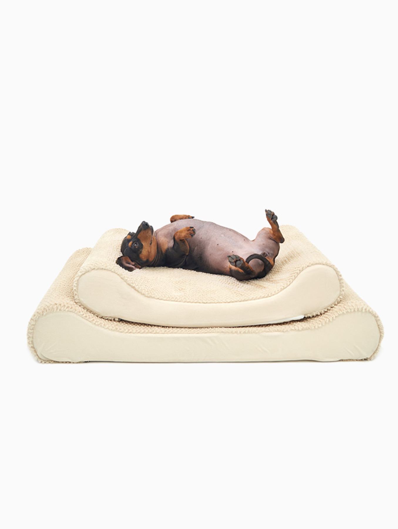 Bonbons Bed (Soft Cover)