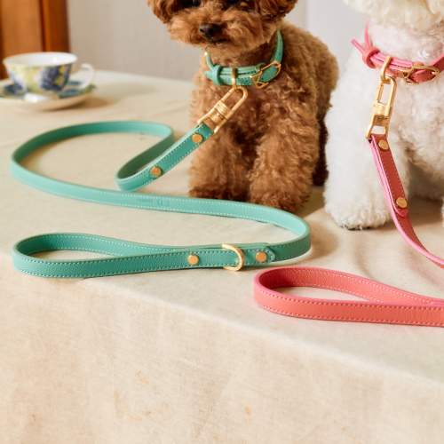 Trevi Leash