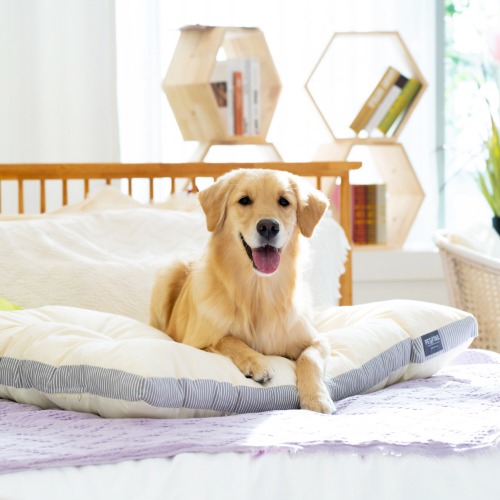 PETTAIL All-Dog Cushion Bed